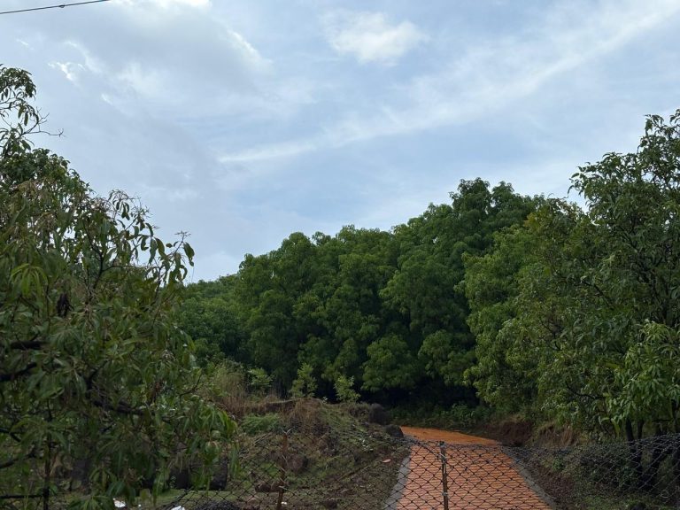 new road to parijatclub