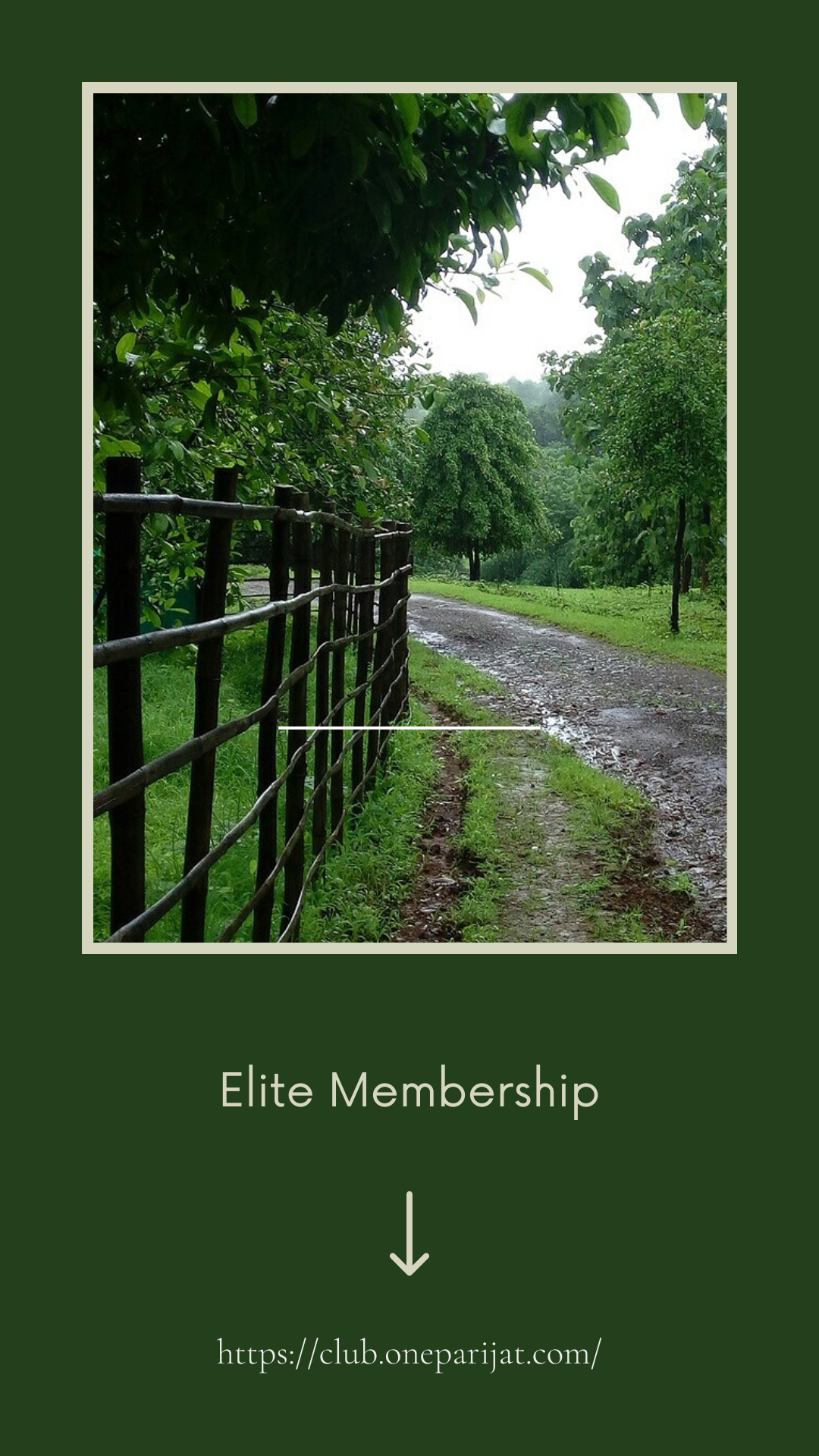 elite membership